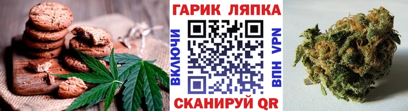 магазин  наркотиков  MEGA как зайти  Печенье с ТГК марихуана  Лаишево 