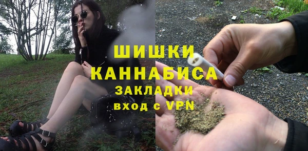 прущие грибы Ладушкин
