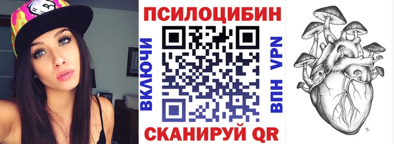 закладка Лаишево Псилоцибиновые грибы Psilocybine cubensis