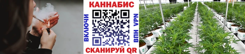 Бошки Шишки планчик  Лаишево 